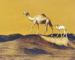 First Steps