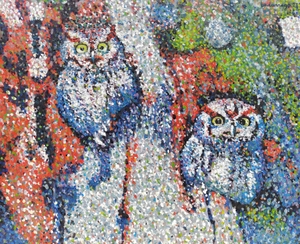 The Owls