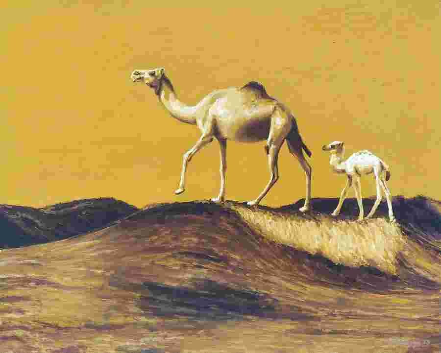 Gregorio Undurraga - First Steps (2023)