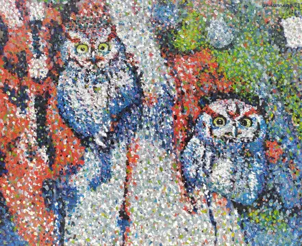 The Owls